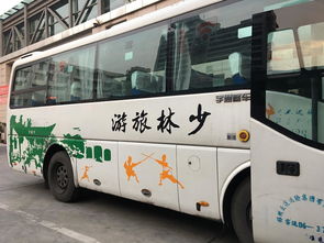 郑州火车站对面的汽车站有直达嵩山少林寺的客车嘛？