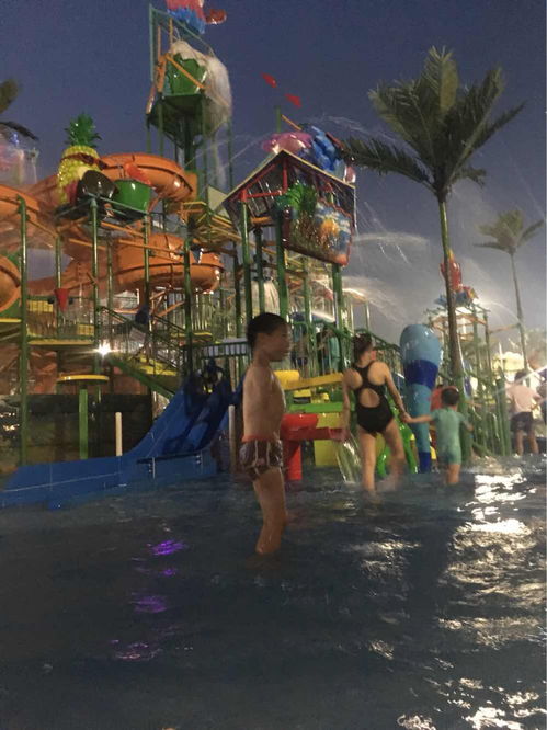 南京玛雅海滩水公园夜场票多少钱南京玛雅海滩水上乐园门票多少钱