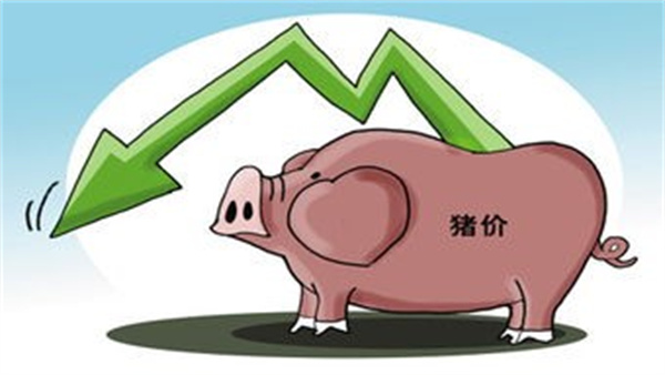 市场猪源整体充沛（终端需求支撑不足猪价下移）