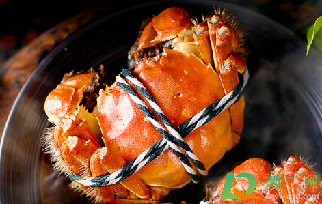 黄油蟹产地哪里？黄油蟹几月份最肥美？