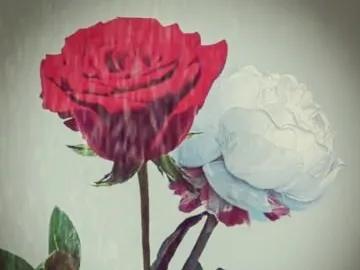 十一朵玫瑰（最好的爱情是什么）