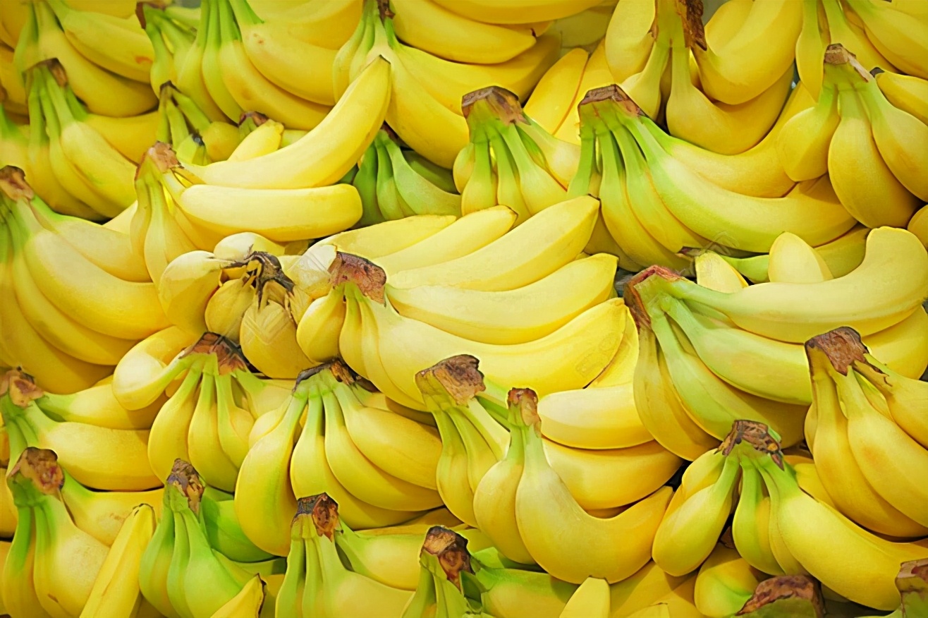 芭蕉 香蕉（“香蕉”和“芭蕉”是同一种吗？营养口感差别挺大，以后别再买错）