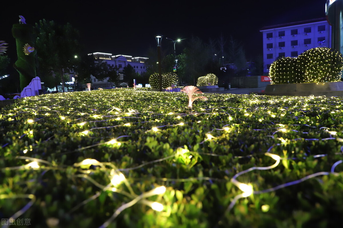 泛光照明灯具（城市夜景亮化工程—植物泛光照明）