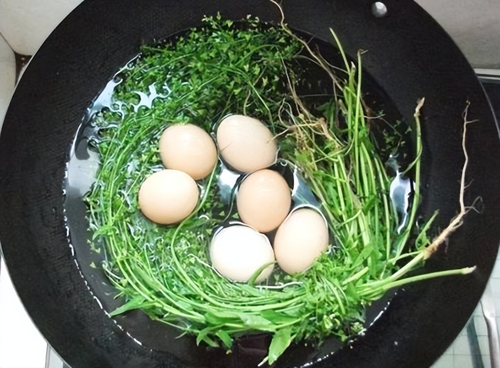 艾蒿是什么（三月三煮鸡蛋，不要只知道荠菜，这种野菜不比荠菜差，别错过了）