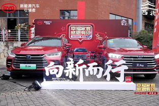 广东惠州比亚迪：创新引领，领跑新能源汽车市场
