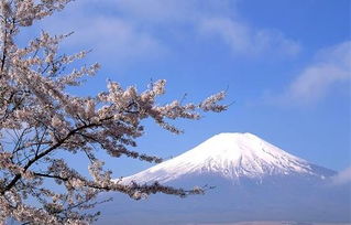 富士山下，歌颂自然之美