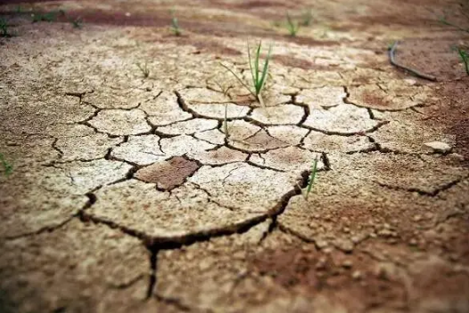 2022年为什么干旱地区多（干旱有什么危害）
