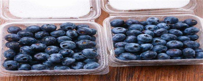 蓝莓需要放冰箱吗（哪些水果不适宜放冰箱）