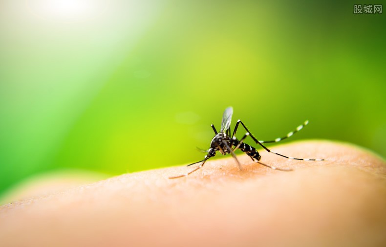 超过40℃蚊子将停止吸血活动（高温真的会让蚊子变少吗）