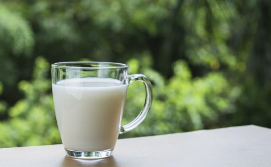 水牛奶和纯牛奶有什么区别（水牛奶和纯牛奶哪个更有营养）