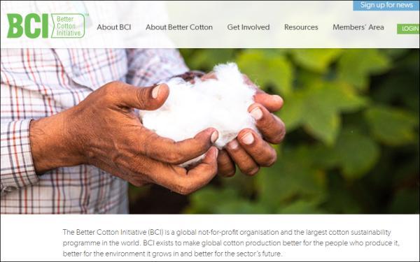 BCI棉是什么意思（带头抵制新疆棉花的BCI，究竟是个什么组织？）