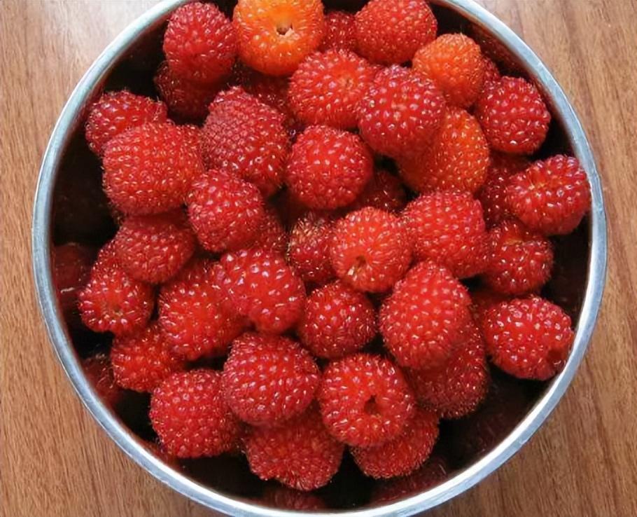覆盆子是什么（覆盆子、蓬蘽、蛇莓、高粱泡有什么区别？为何偏偏蛇莓不能吃？）
