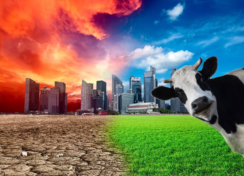 造成温室效应的气体（牛比汽车对全球变暖的贡献更大，毕竟牛放屁比较猛！）