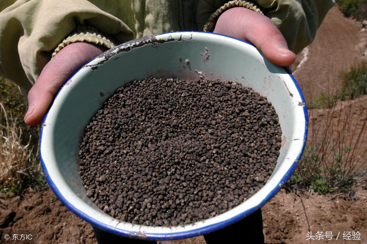 什么是磷肥（磷肥的作用|如何施用磷肥）