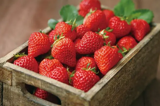 草莓放冰箱还是常温保存（草莓的保存注意事项）